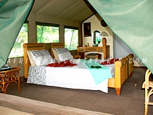 anatreelodge2 ANA TREE LODGE