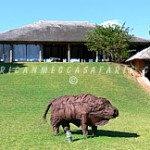 chaminuka wildlife safari