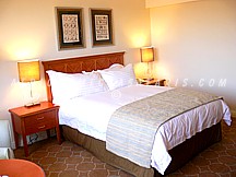 intercontinentallusaka LUSAKA HOTELS