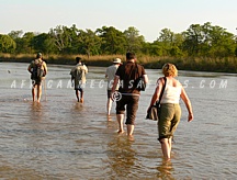 4. AFRICAS FAMOUS WALKING SAFARIS