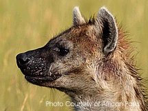 LIUWA PLAIN NATIONAL PARK