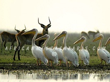 LOCHINVAR NATIONAL PARK