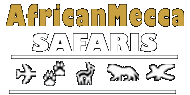 AfricanMecca Safaris