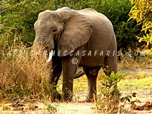 LUAMBE NATIONAL PARK