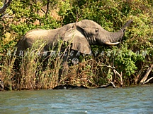 lufupacamp8 TIER 3 - BEST OF ZAMBIA & VICTORIA FALLS