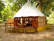 sausagetreecamp3 LOWER ZAMBEZI CAMPS & LODGES