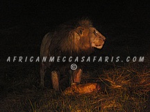 shumbacamp7 TIER 1 - BEST OF ZAMBIA & VICTORIA FALLS